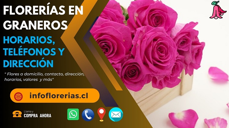 Florerías en Graneros