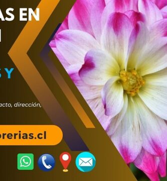 Florerías en Hualpén
