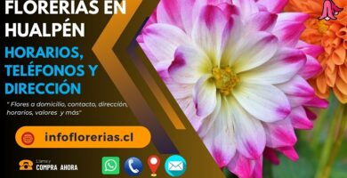 Florerías en Hualpén