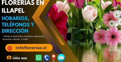 Florerías en Illapel