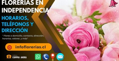 Florerías en Independencia