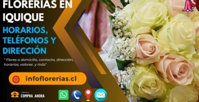 Florerías en Iquique