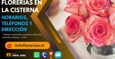 Florerías en La Cisterna