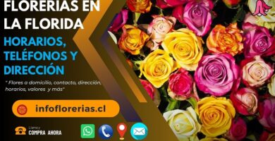 Florerías en La Florida