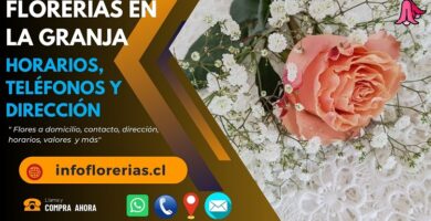 Florerías en La Granja