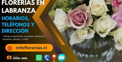 Florerías en Labranza
