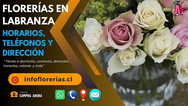Florerías en Labranza