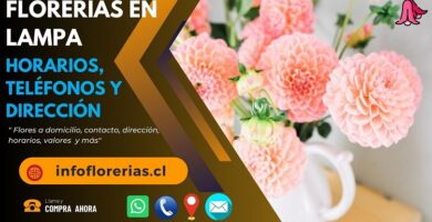 Florerías en Lampa