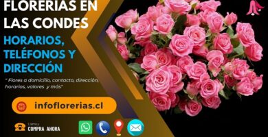 Florerías en Las Condes