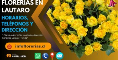 Florerías en Lautaro