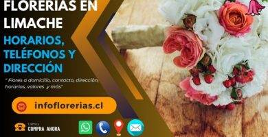 Florerías en Limache