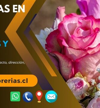 Florerías en Linares