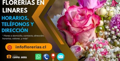 Florerías en Linares
