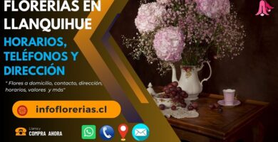 Florerías en Llanquihue