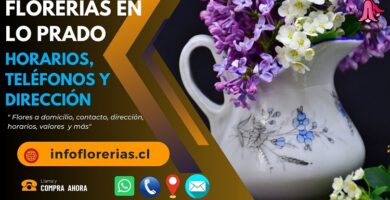 Florerías en Lo Prado