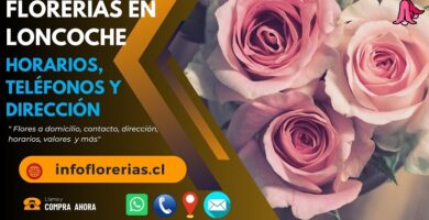 Florerías en Loncoche