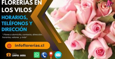 Florerías en Los Vilos