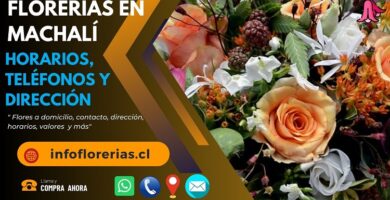 Florerías en Machalí