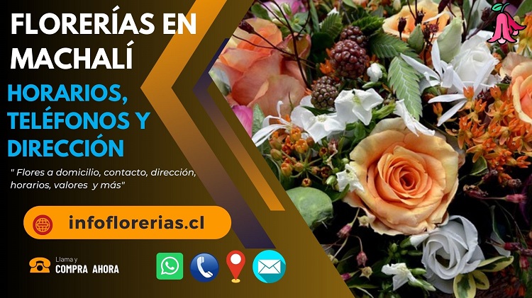 Florerías en Machalí