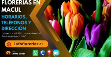 Florerías en Macul