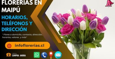Florerías en Maipú
