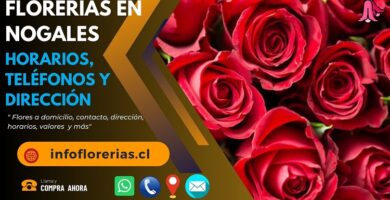 Florerías en Nogales