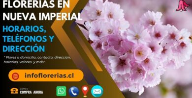 Florerías en Nueva Imperial