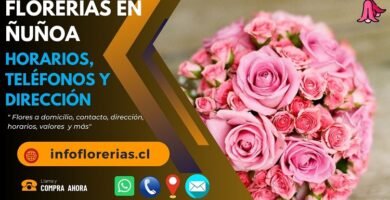 Florerías en Ñuñoa