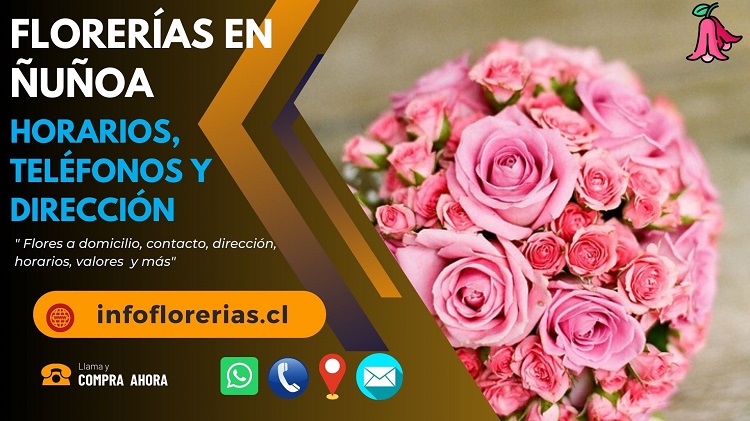 Florerías en Ñuñoa