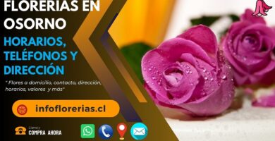 Florerías en Osorno