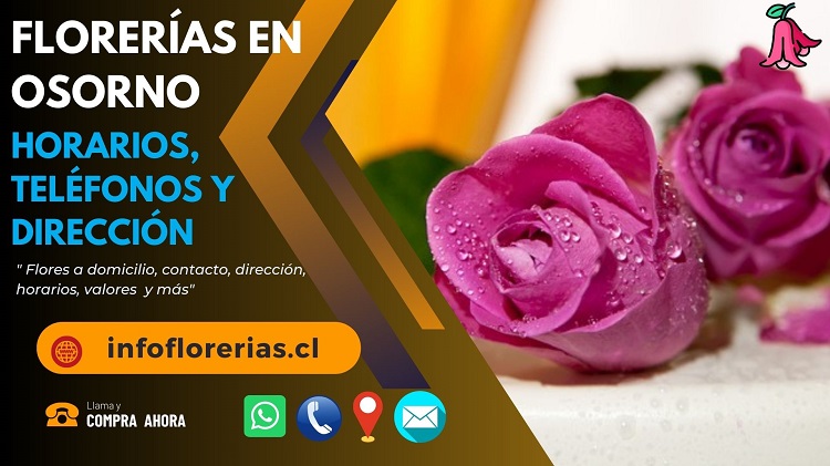 Florerías en Osorno