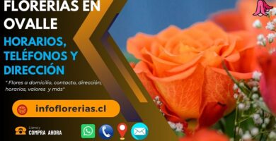 Florerías en Ovalle