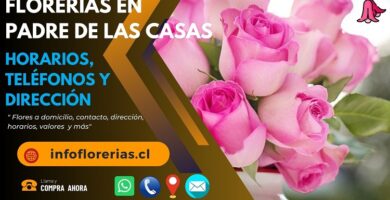 Florerías en Padre de las casas