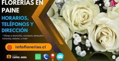 Florerías en Paine