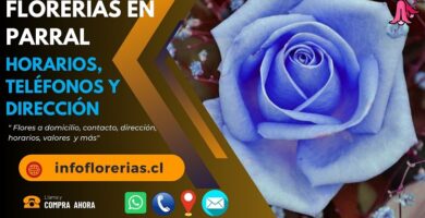 Florerías en Parral