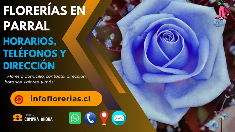 Florerías en Parral