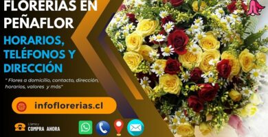 Florerías en Peñaflor