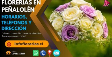 Florerías en Peñalolén