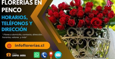 Florerías en Penco