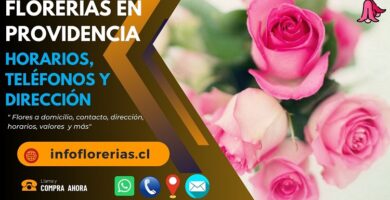Florerías en Providencia