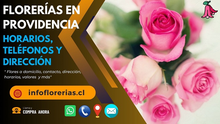 Florerías en Providencia