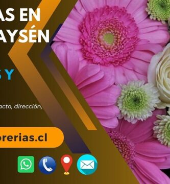 Florerías en Puerto Aysén