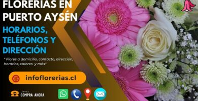 Florerías en Puerto Aysén