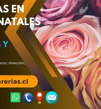 Florerías en Puerto Natales