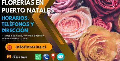 Florerías en Puerto Natales