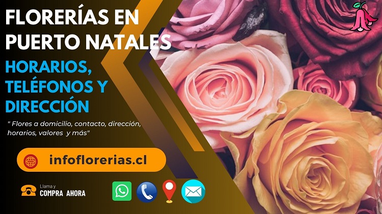 Florerías en Puerto Natales