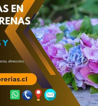 Florerías en Punta Arenas