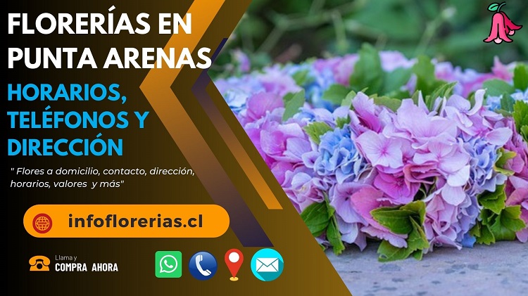 Florerías en Punta Arenas