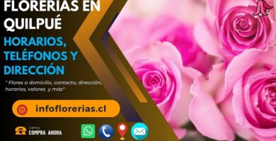 Florerías en Quilpué