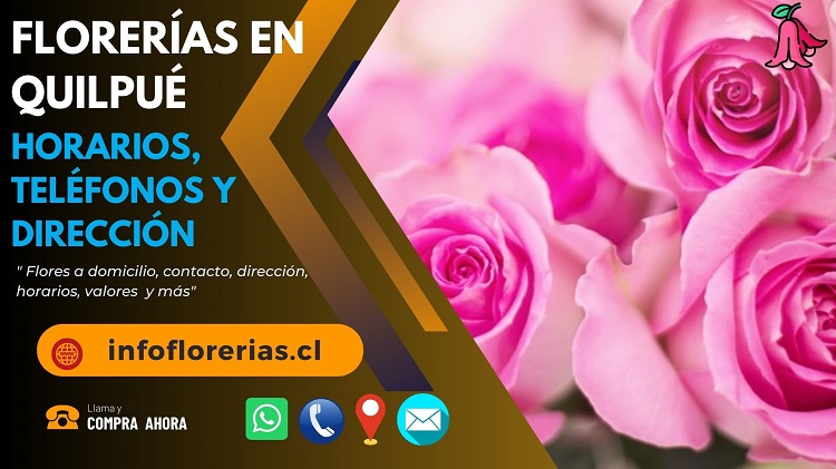 Florerías en Quilpué